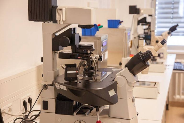 Englisch Fertility Center Berlin